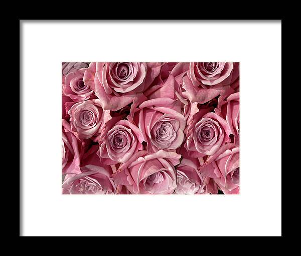Pink Roses Framed Print featuring the photograph Pink Roses by Karen Zuk Rosenblatt