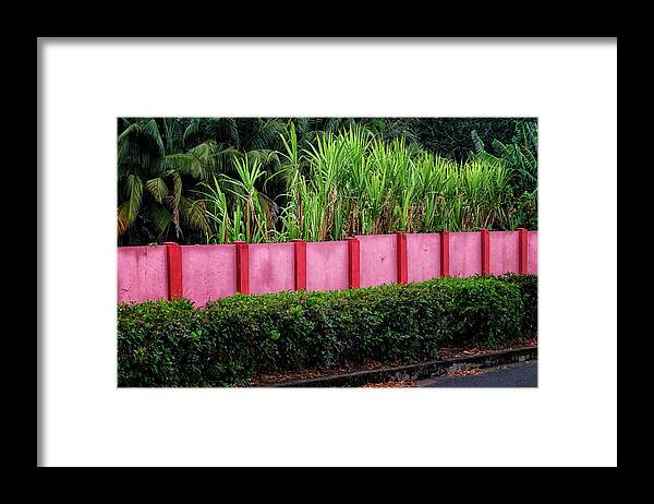 Havana Cuba Framed Print featuring the photograph Pink Wall by Tom Singleton