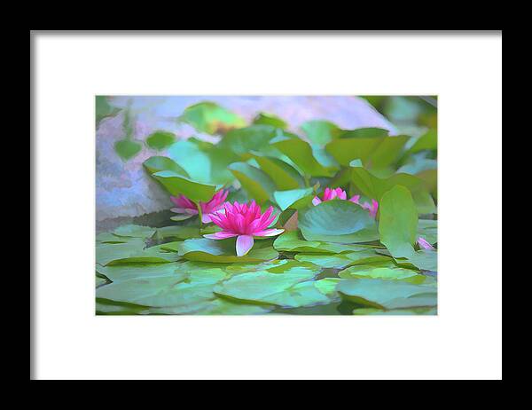 Pink Framed Print featuring the digital art Pink Water Lilly, Digital art Wall Ar by JBK Photo Art