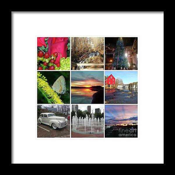 Rose Framed Print featuring the photograph Places I Was in Georgia by Donna Brown