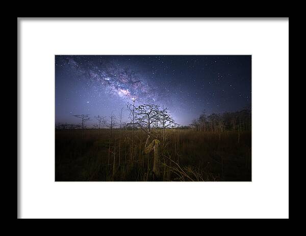 Milky Way Framed Print featuring the photograph Planet Everglades by Mark Andrew Thomas