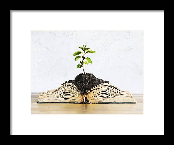 Environmental Conservation Framed Print featuring the photograph Plant growing out of open book by Dimitri Otis