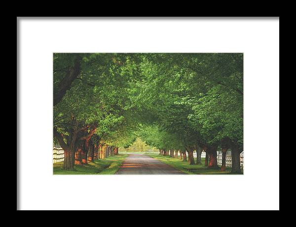Summer Framed Print featuring the photograph Plantation Path by Carrie Ann Grippo-Pike