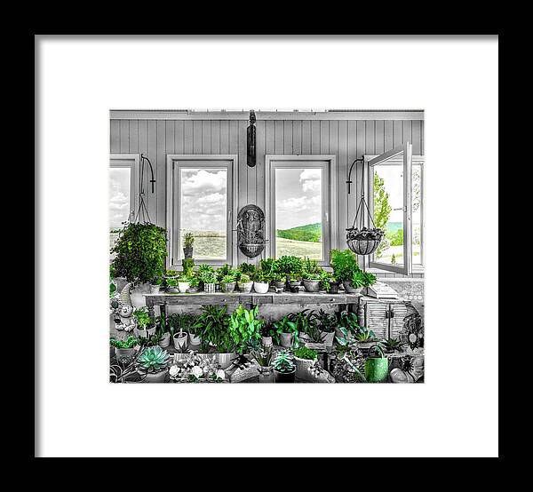 Barns Framed Print featuring the photograph Plants in the Vineyard Greenhouse Window Black and White and Gre by Debra and Dave Vanderlaan