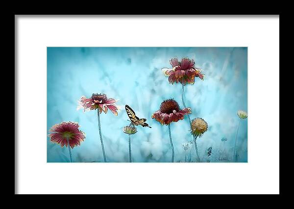 Garden Framed Print featuring the photograph Playing in the Garden by Shara Abel