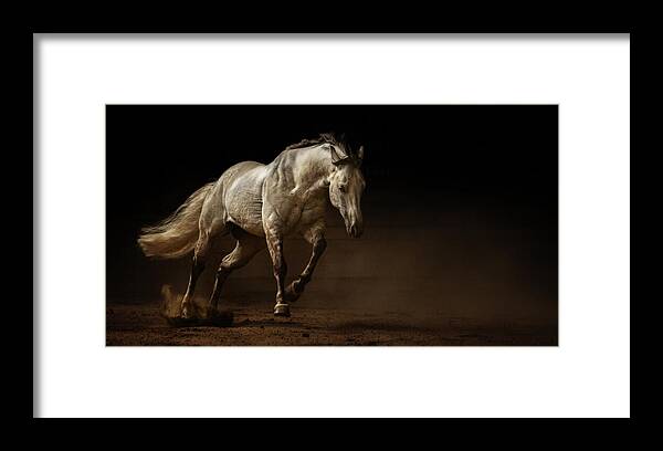 Horses Framed Print featuring the photograph Playtime by Ryan Courson