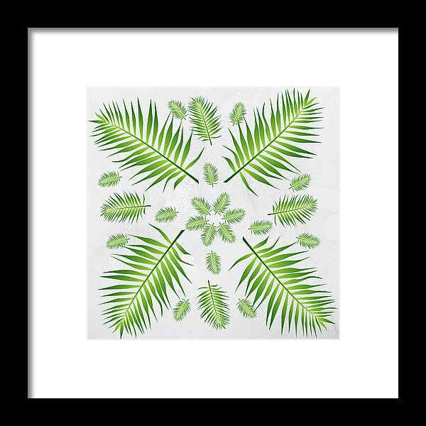 Palm Framed Print featuring the digital art Plethora of Palm Leaves 21 on a White Textured Background by Ali Baucom
