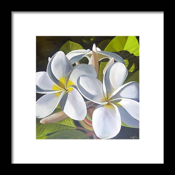 Plumeria Framed Print featuring the painting Plumeria by Connie Rish