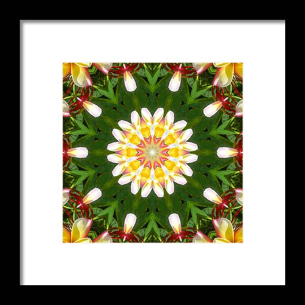 Plumeria Framed Print featuring the mixed media Plumeria Mandala Kaleidoscope Medallion Flower by Mercury McCutcheon