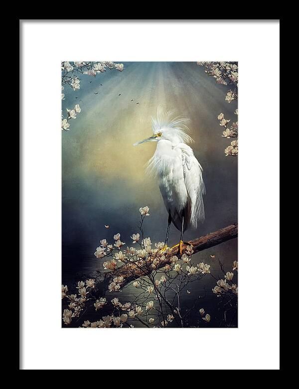 Egret Framed Print featuring the digital art Plumes of Spring by Nicole Wilde