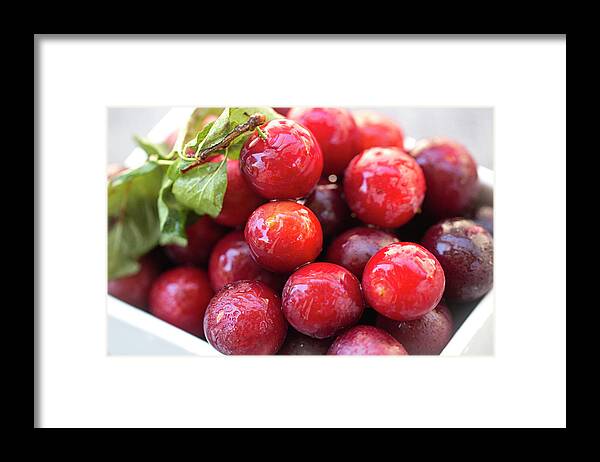 Fruit Framed Print featuring the photograph Plums A Lot by Vanessa Thomas