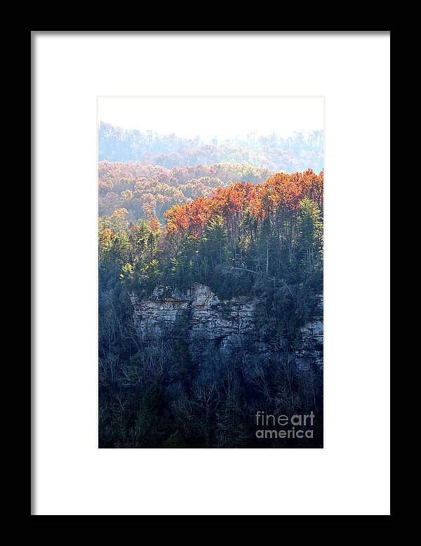 Nature Framed Print featuring the photograph Point Trail At Obed 5 by Phil Perkins