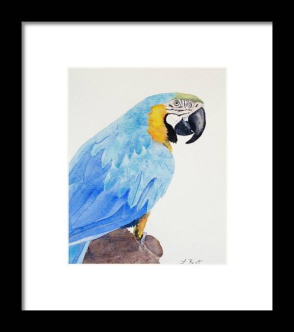 Polly Framed Print featuring the painting Polly by Laurel Best