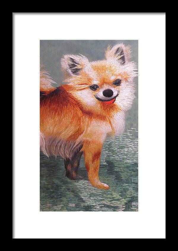 Pomeranian Framed Print featuring the photograph Pom Portrait by Kerry Obrist