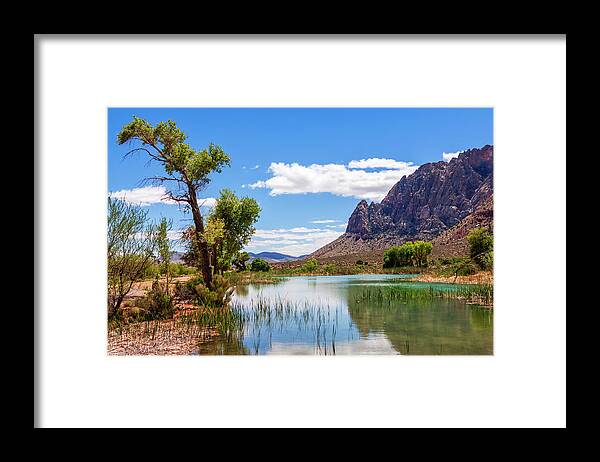 Pond Reflections Framed Print featuring the photograph Pond reflections in Mohave Desert, Nevada by Tatiana Travelways
