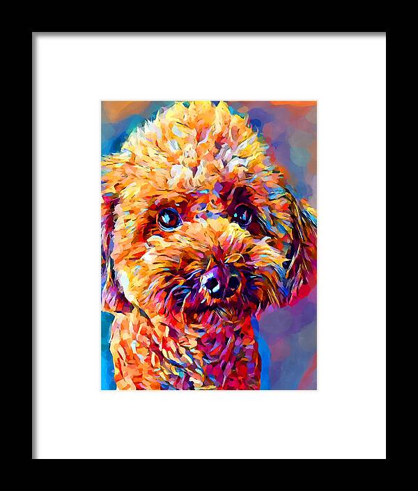 Dog Framed Print featuring the painting Poodle 2 by Chris Butler