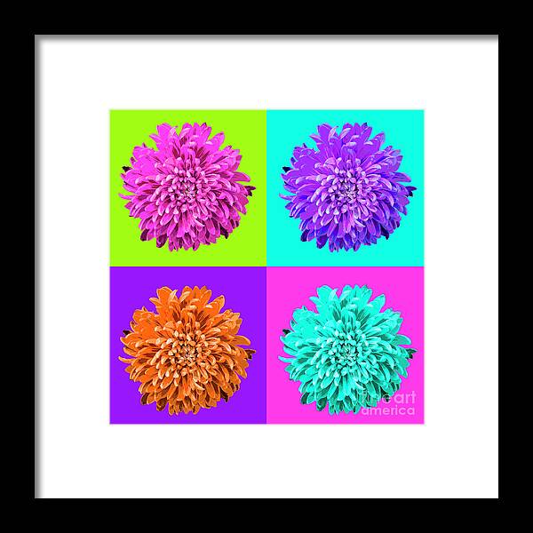 Popart Framed Print featuring the photograph Popart Chrysanthemum 4-Square by Renee Spade Photography
