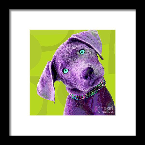 Dogs Framed Print featuring the photograph PopART Silver Lab Puppy by Renee Spade Photography