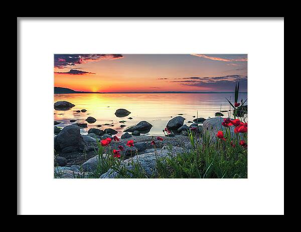 Sea Framed Print featuring the photograph Poppies By the Sea by Evgeni Dinev