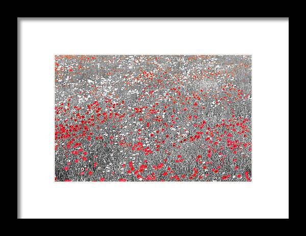 Poppies Framed Print featuring the photograph Poppy Field by Stuart Allen