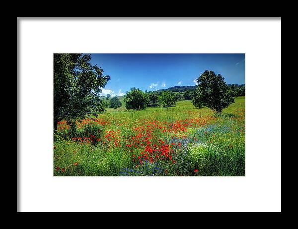 Summer Poppy Meadow Framed Print featuring the photograph Poppy meadow by Lilia S