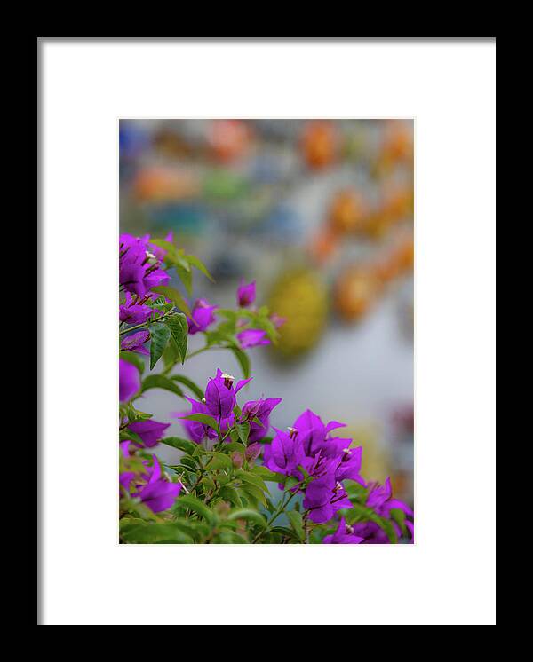 Amalfi Framed Print featuring the photograph Positano Color by David Downs