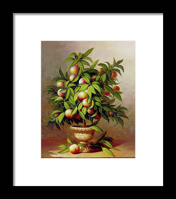 Fruit Framed Print featuring the painting Potted Peach Tree by Welby