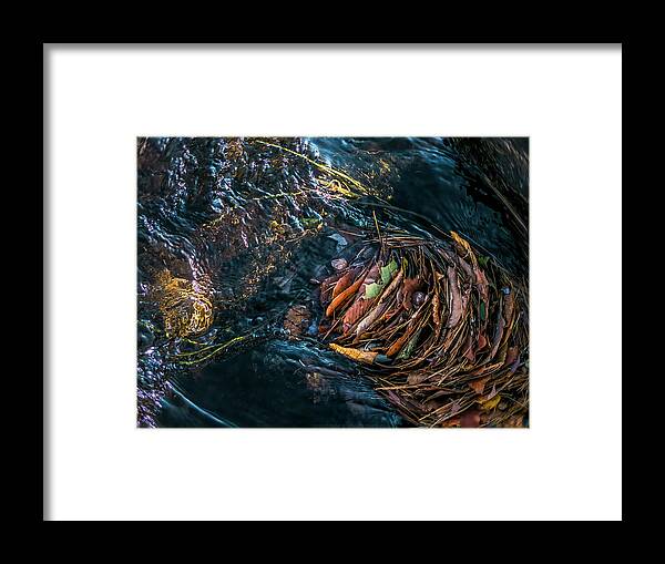 Leaves Framed Print featuring the photograph Power Spot by Jerry LoFaro