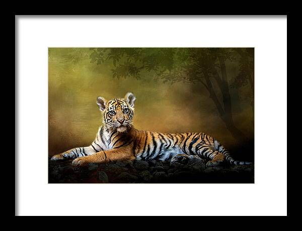 Tiger Framed Print featuring the digital art Practicing My Big Kitty Stare by Nicole Wilde