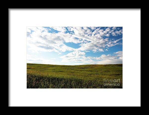 Calgary Framed Print featuring the photograph Prairie Field by Wilko van de Kamp Fine Photo Art