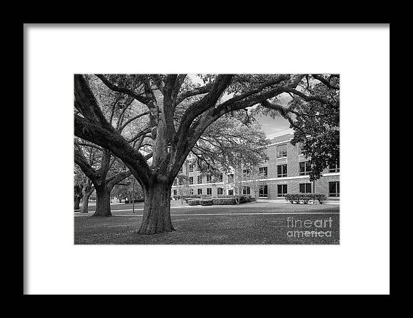 Prairie View A&m Framed Print featuring the photograph Prairie View A and M University Landscape by University Icons
