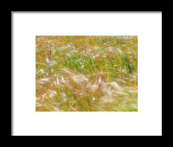 Nature Framed Print featuring the photograph Prairie Wind Textures 15 by Leland D Howard