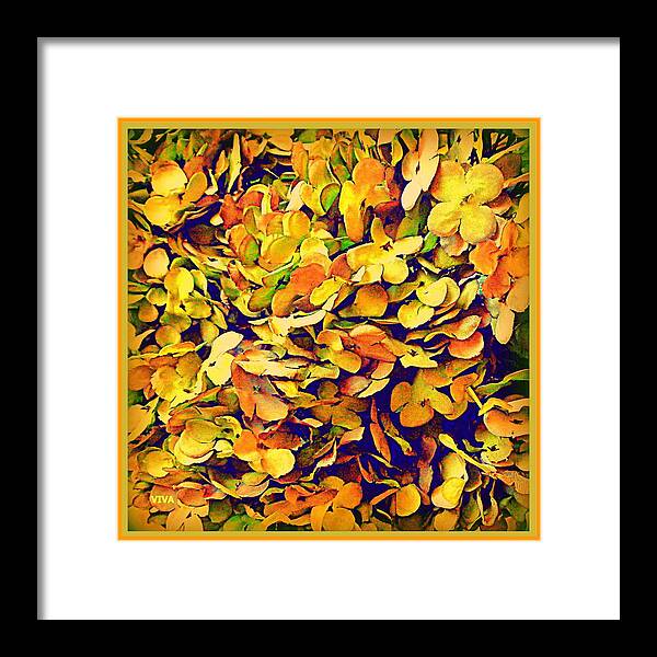 Hydrangea Framed Print featuring the photograph Precious Petals - Autumn by VIVA Anderson