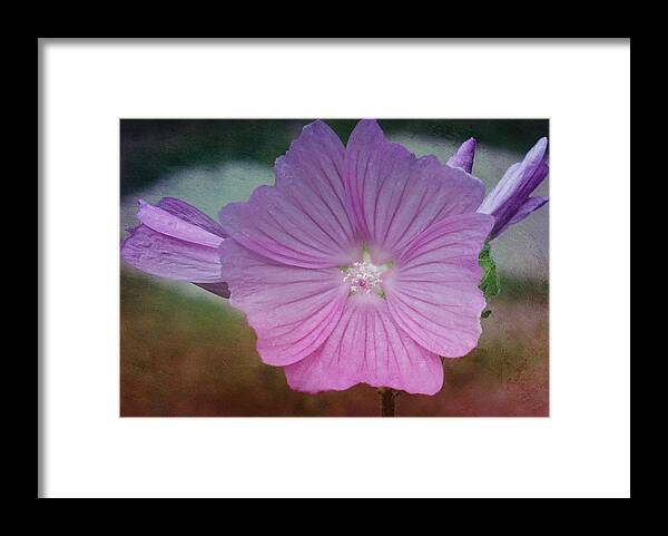 Pink Framed Print featuring the mixed media Pretty in Pink by Moira Law