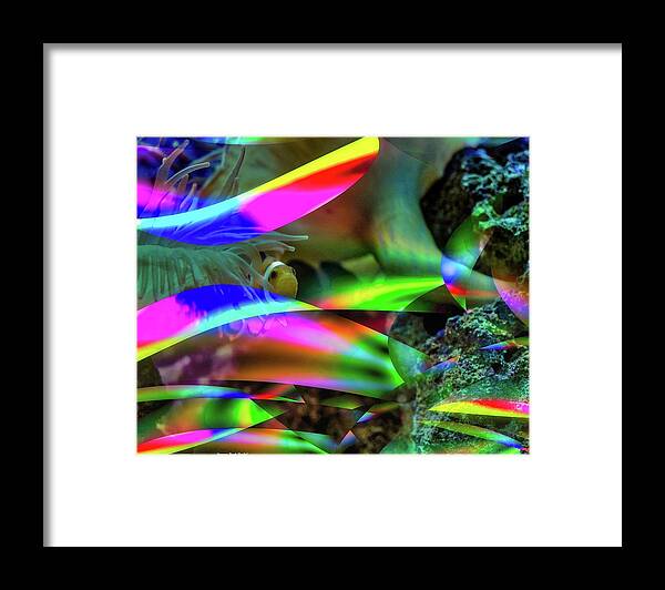 Fish Framed Print featuring the digital art Prism Beauty by Norman Brule