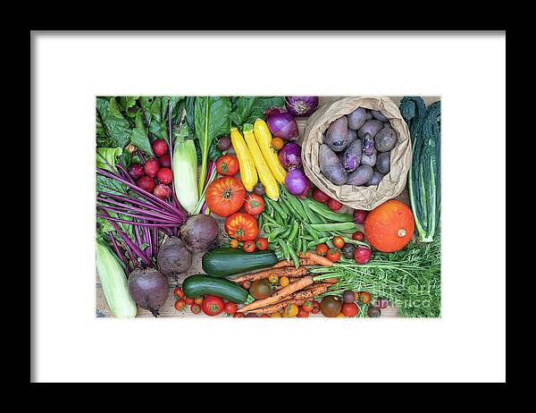 Vegetable Framed Print featuring the photograph Produce From My Garden by Tim Gainey