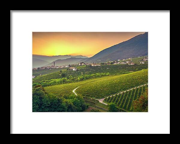 Prosecco Framed Print featuring the photograph Vineyards after Sunset in Prosecco Hills by Stefano Orazzini
