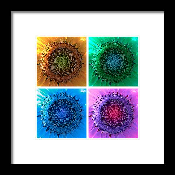 Richard Reeve Framed Print featuring the photograph Psychedelic Sunflowers by Richard Reeve