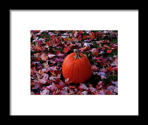Pumpkins Framed Print featuring the photograph Pumpkin and Autumn Leaves by Linda Stern