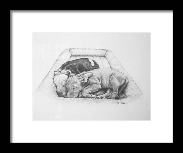 Dogs Framed Print featuring the drawing Punch and Pico by J L Collins