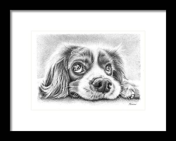 Puppy Framed Print featuring the drawing Puppy by Casey 'Remrov' Vormer