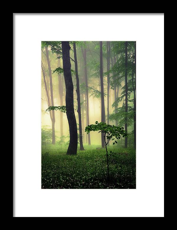 Balkan Mountains Framed Print featuring the photograph Pure Nature by Evgeni Dinev