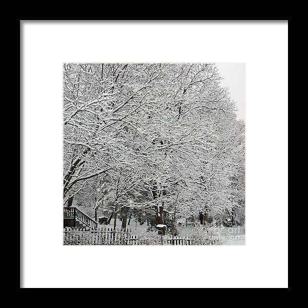 Landscape Photography Framed Print featuring the photograph Purity of Snow - Square by Frank J Casella