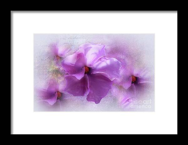 Australian Framed Print featuring the photograph Purple Dream by Elaine Teague