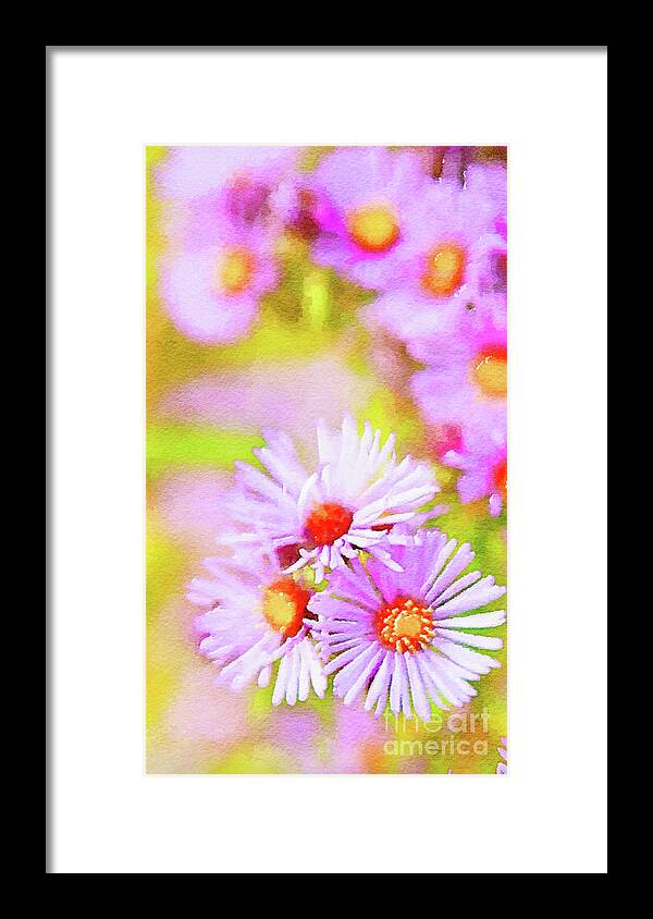 Purple Flowers Framed Print featuring the painting Purple Flowers by Cara Frafjord