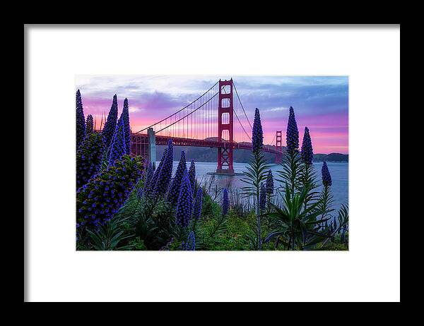  Framed Print featuring the photograph Purple Rain by Louis Raphael