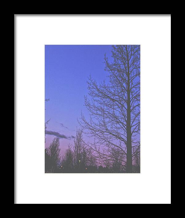 Trees Framed Print featuring the photograph Purple Twilight by Lisa Pearlman