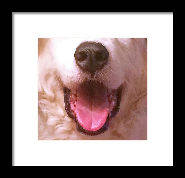 Great Pyrenees Framed Print featuring the painting Pyr-Mary Harvey by Nadi Spencer