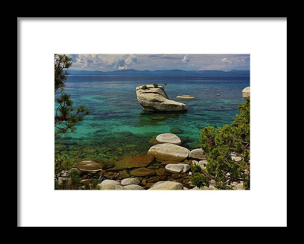  Framed Print featuring the photograph Bonsai Rock by John T Humphrey