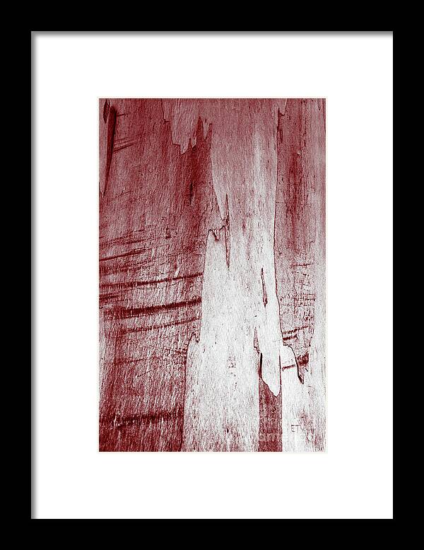 Tree Bark Framed Print featuring the photograph Quad Tone Red by Elaine Teague